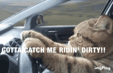 Ford Maverick Mavericks Getting Pulled Over???? B2A48D3E-4326-40E5-878C-03DDAE2B22E9