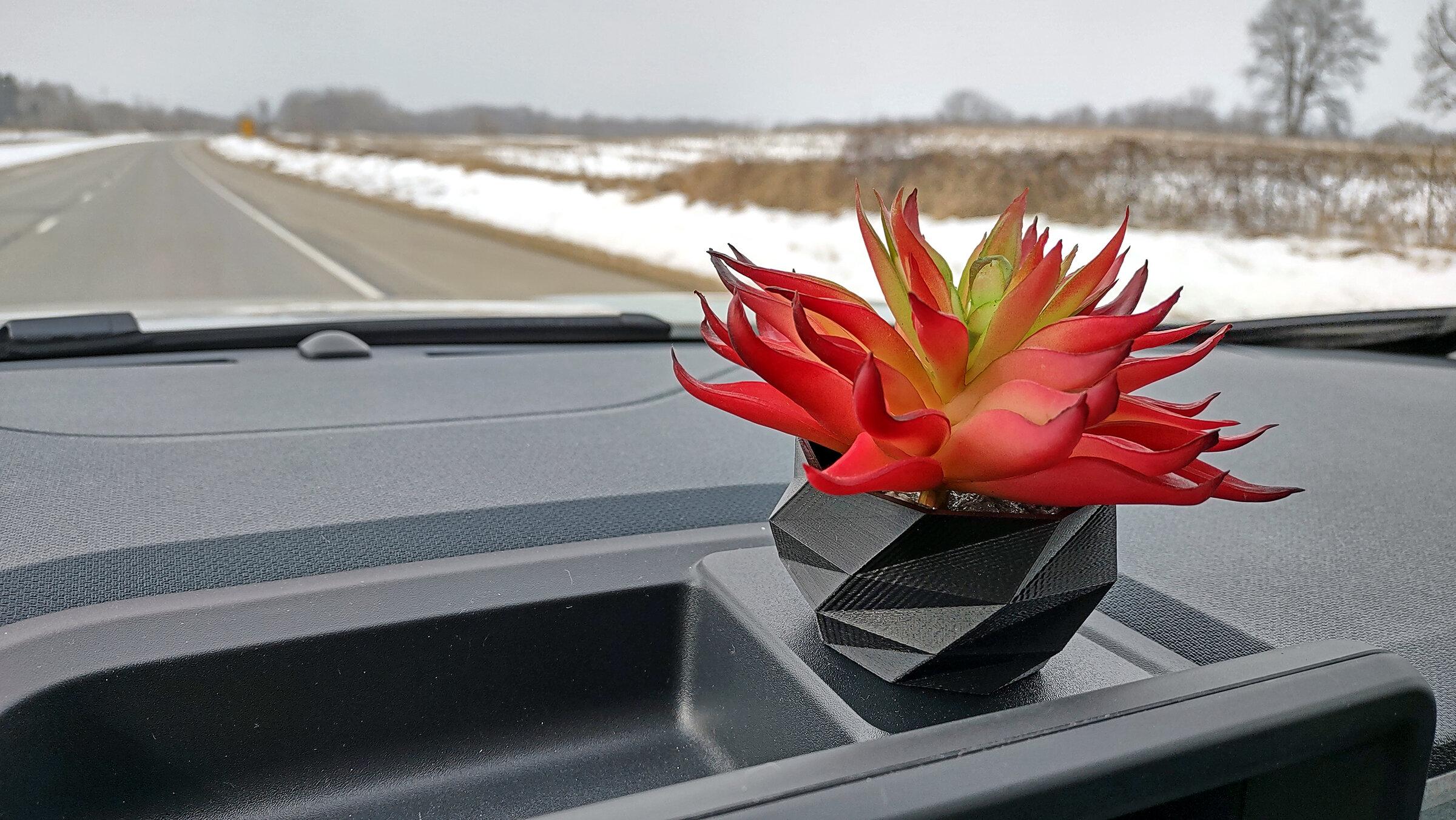Ford Maverick Cactus Gray Dashboard Plants Update - Red Plant 2.13.22