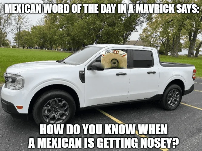 Ford Maverick Maverick Memes -  fun diversion while we wait [ ** NO POLITICS ** ] When he starts getting jalapeño business