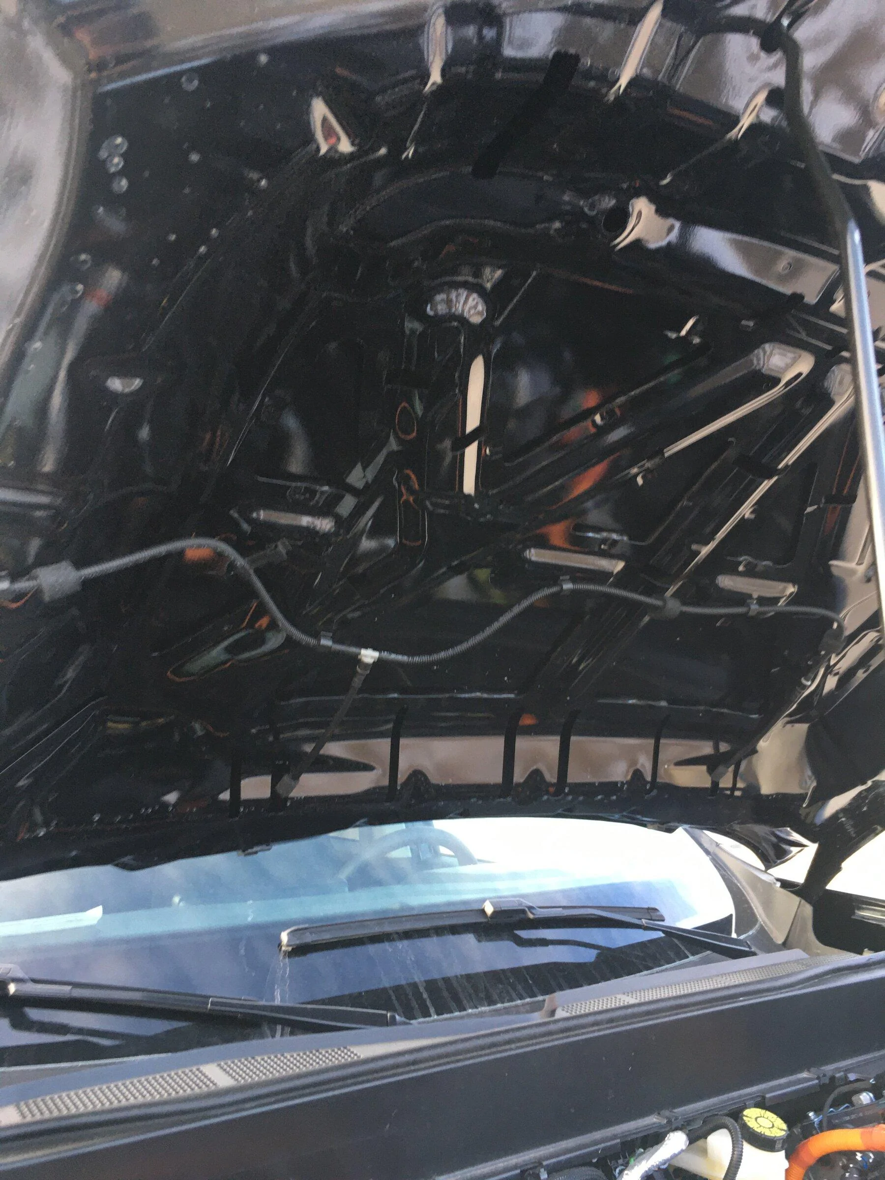 Ford Maverick Anyone try the Bronco Sport hood insulation? 7B25D3BE-14BB-482E-95A9-1031B2E831D3