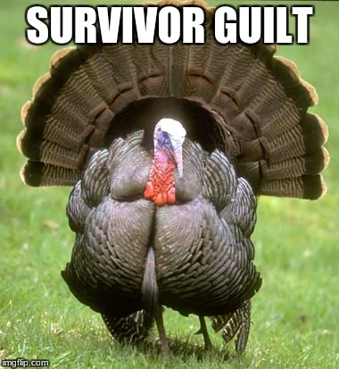 Ford Maverick Maverick Memes -  fun diversion while we wait [ ** NO POLITICS ** ] Survivor Guilt