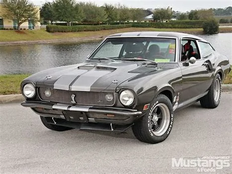 Ford Maverick Ford is screwing Brazil 1645654154826