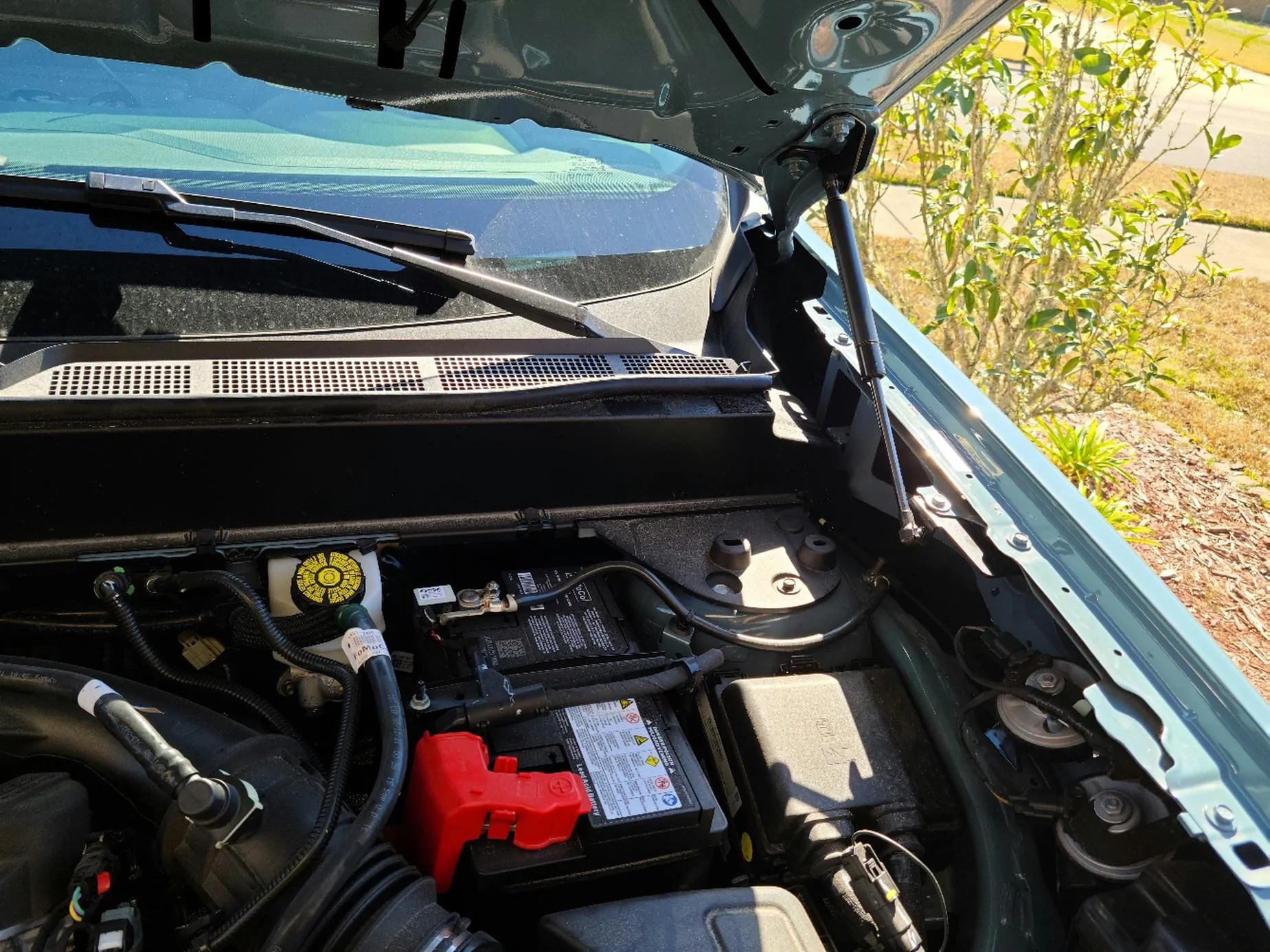 Ford Maverick Hood struts installed 20220226_111257