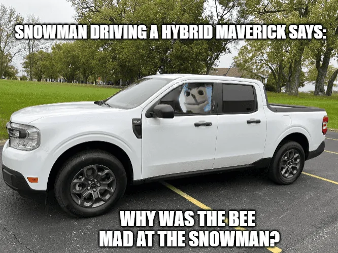 Ford Maverick Maverick Memes -  fun diversion while we wait [ ** NO POLITICS ** ] sno