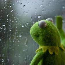 kermit.jpg