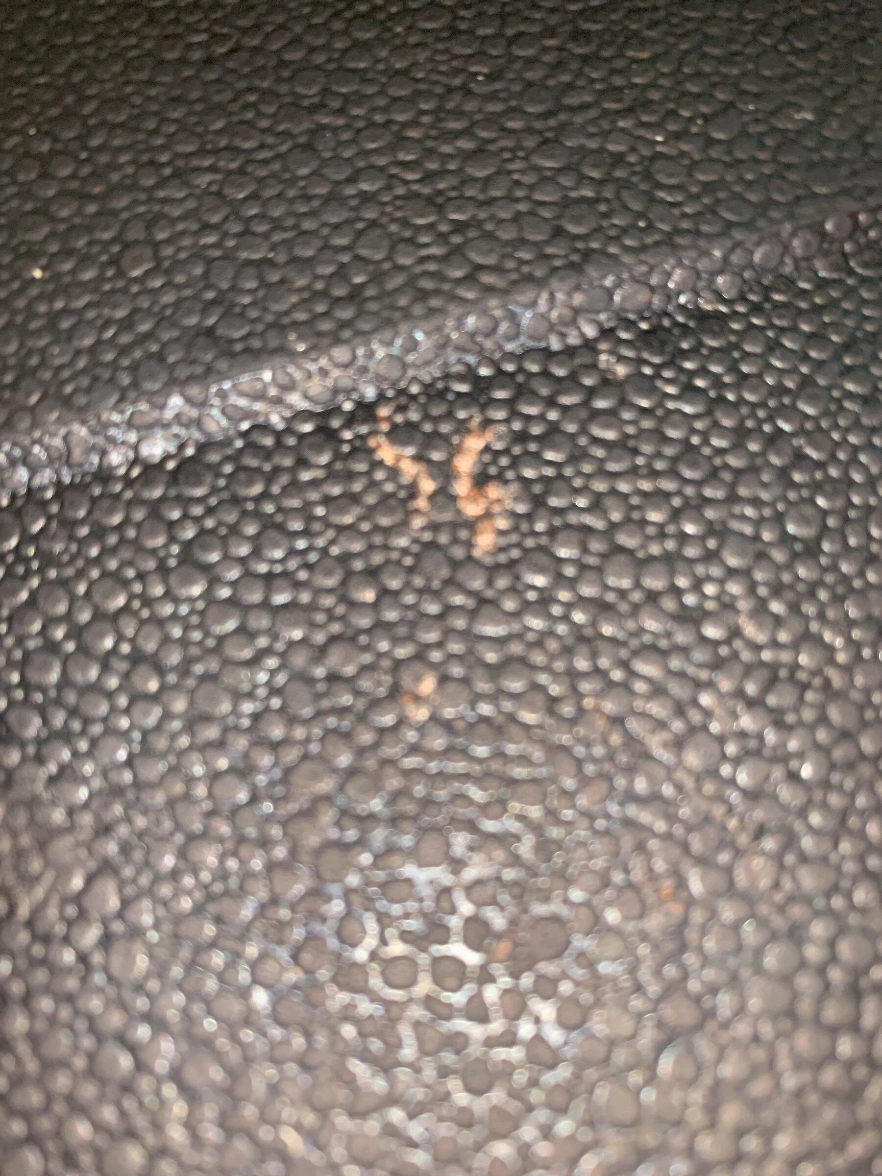 Ford Maverick Ford Maverick Black Bed Mat installed IMG_2323