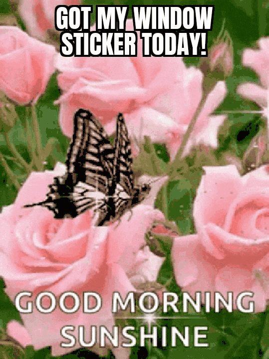Ford Maverick Maverick Memes -  fun diversion while we wait [ ** NO POLITICS ** ] GifMeme06371511032022