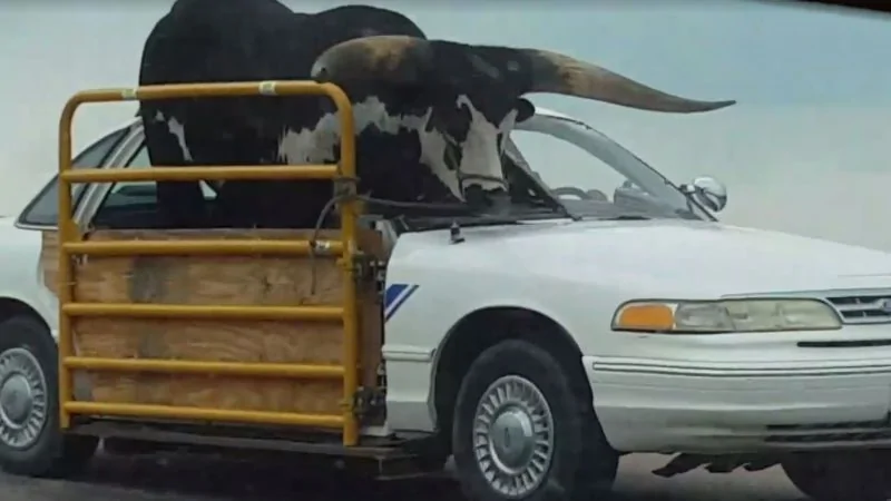 Ford Maverick "Pickup" vs "Truck" steer