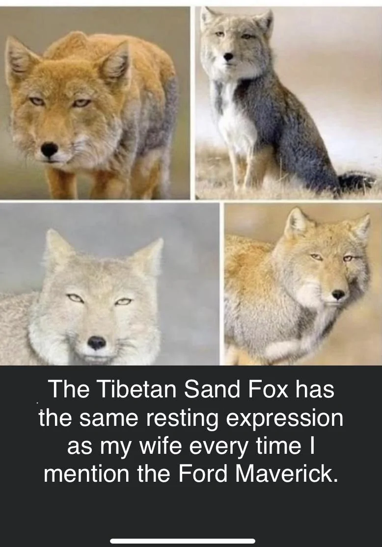Ford Maverick Maverick Memes -  fun diversion while we wait [ ** NO POLITICS ** ] F38E7A19-40A3-4A01-83D6-F67686FC85C3