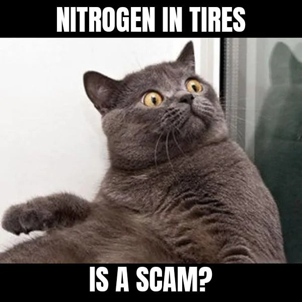 Ford Maverick Consumer Reports tests show nitrogen in tires not worth the cost or inconvenience Conspiracy Cat 20032022071215