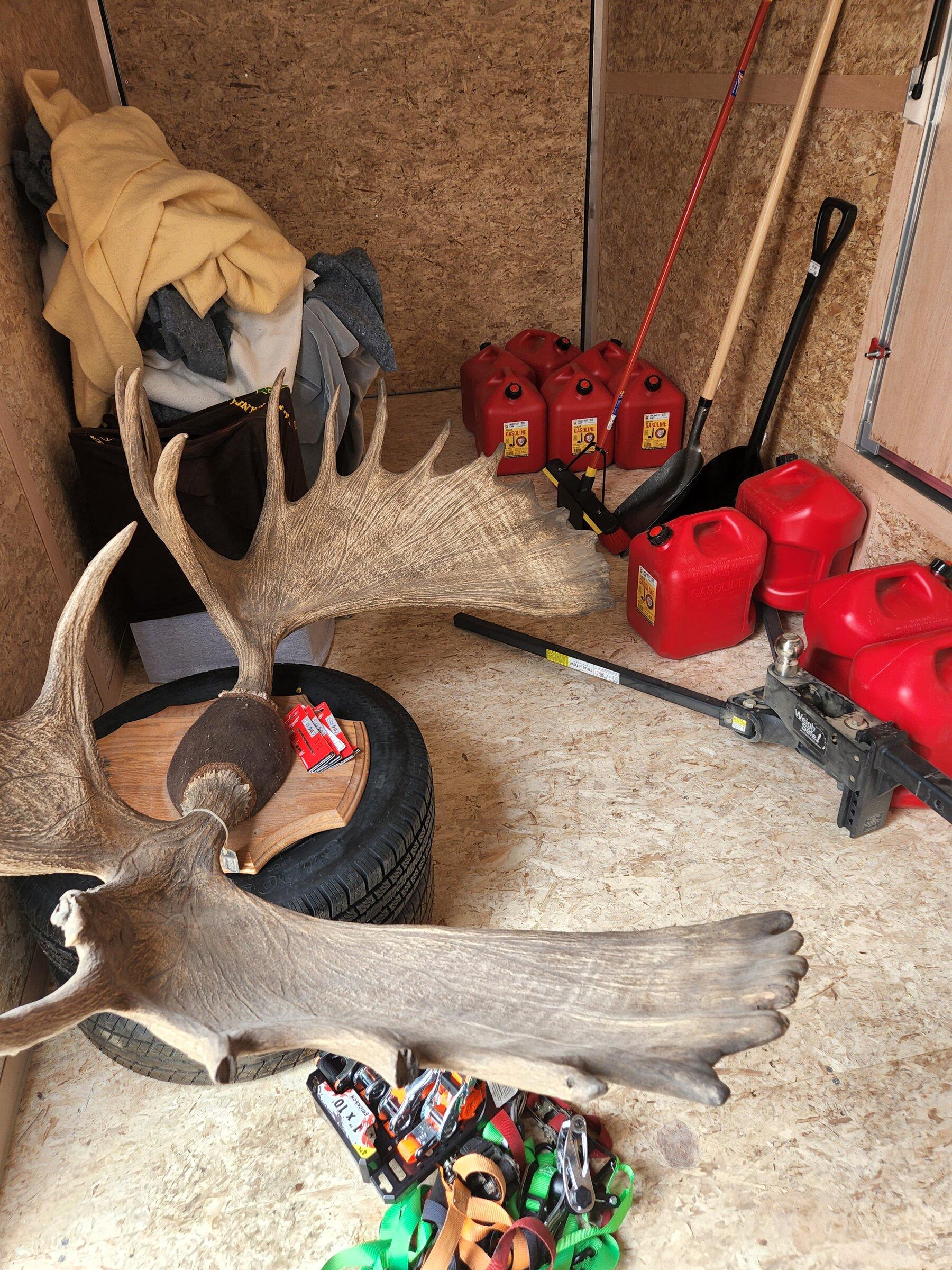 Ford Maverick Alaskan Bound - Delivery Road Trip Home in Two New Mavericks antlers