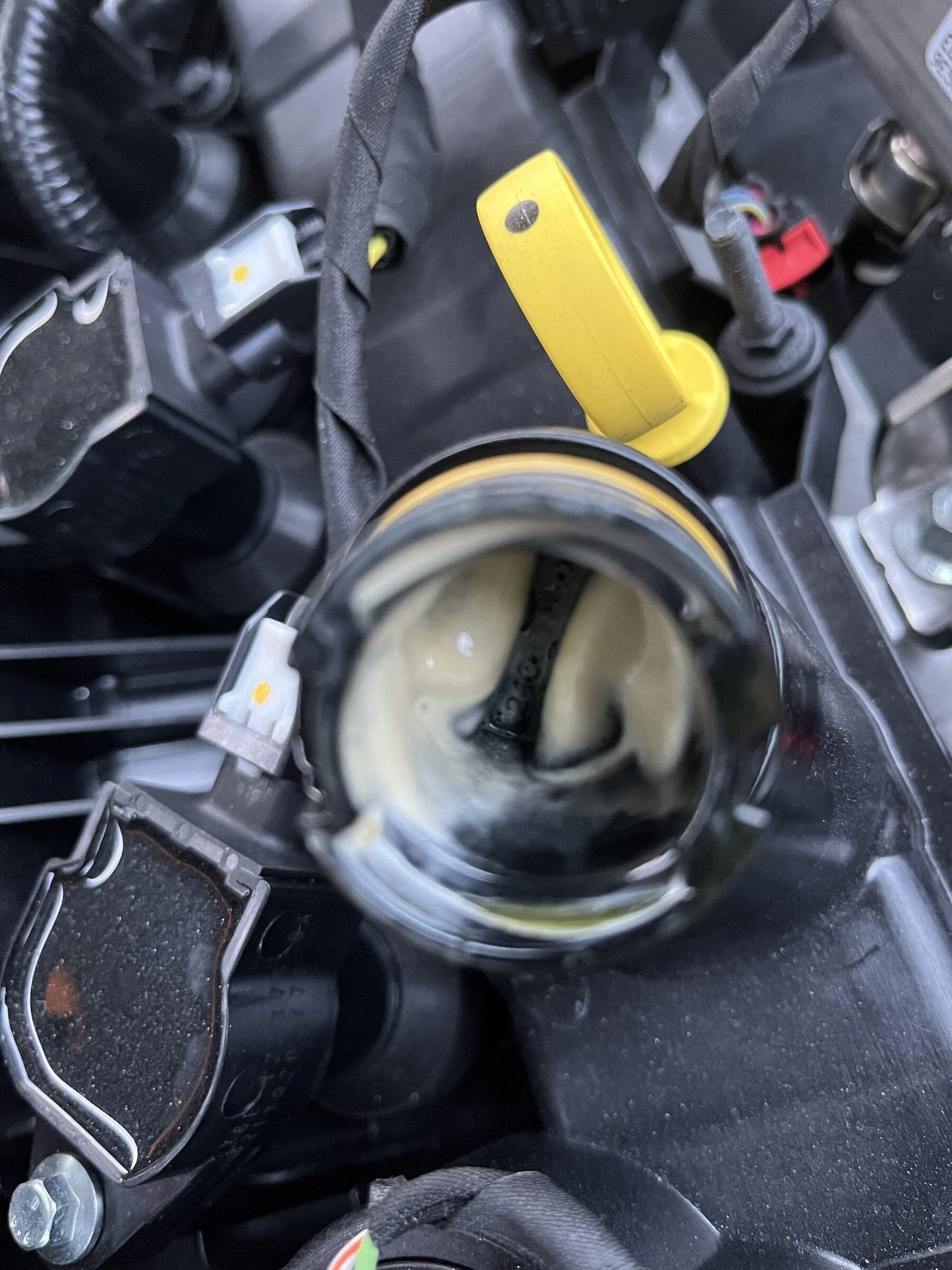 Ford Maverick Oil problem? 79F0D04D-48E2-468E-A213-3A7AEAE20D2B