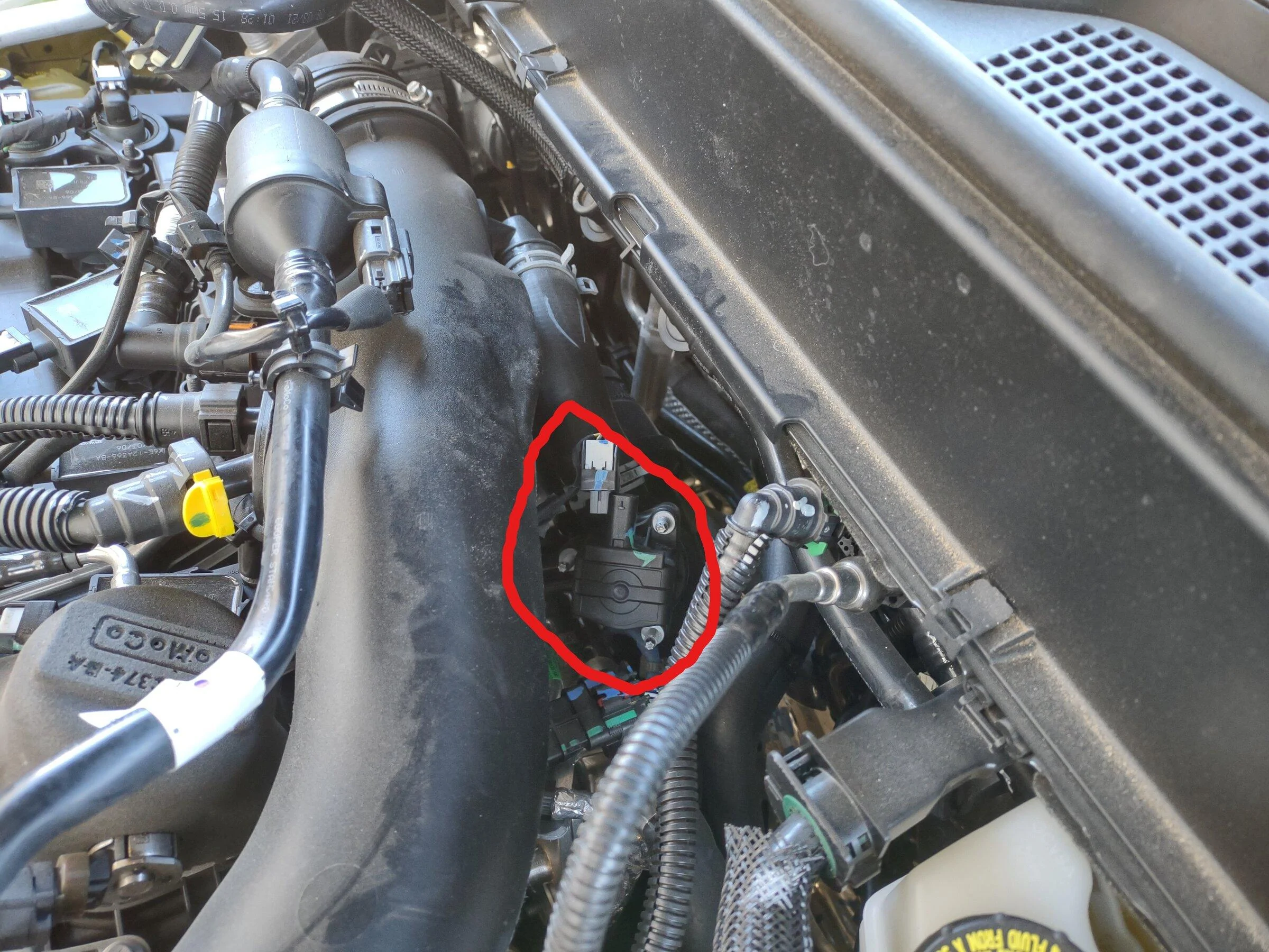 Ford Maverick GFB DV+ installed! Pics and video InkedBOV1_LI