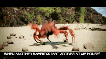 Ford Maverick Maverick Memes -  fun diversion while we wait [ ** NO POLITICS ** ] Meme 230