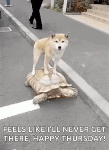 Ford Maverick Maverick Memes -  fun diversion while we wait [ ** NO POLITICS ** ] GifMeme05495130032022