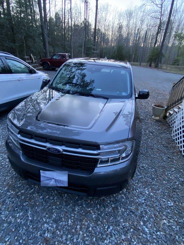 Ford Maverick This is cheaper than a human child but still took 9 months Maverick1