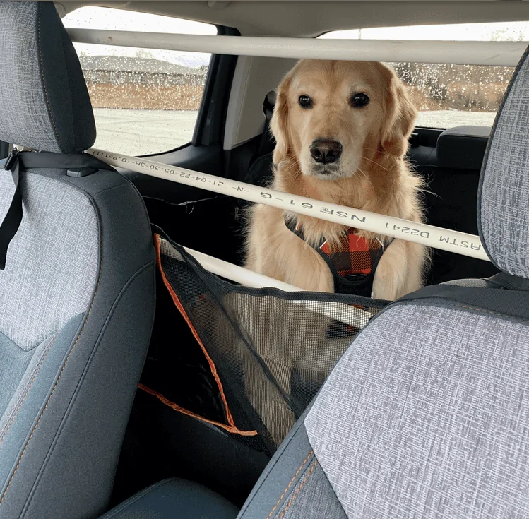 Ford Maverick DIY Dog Guard 1648768828877
