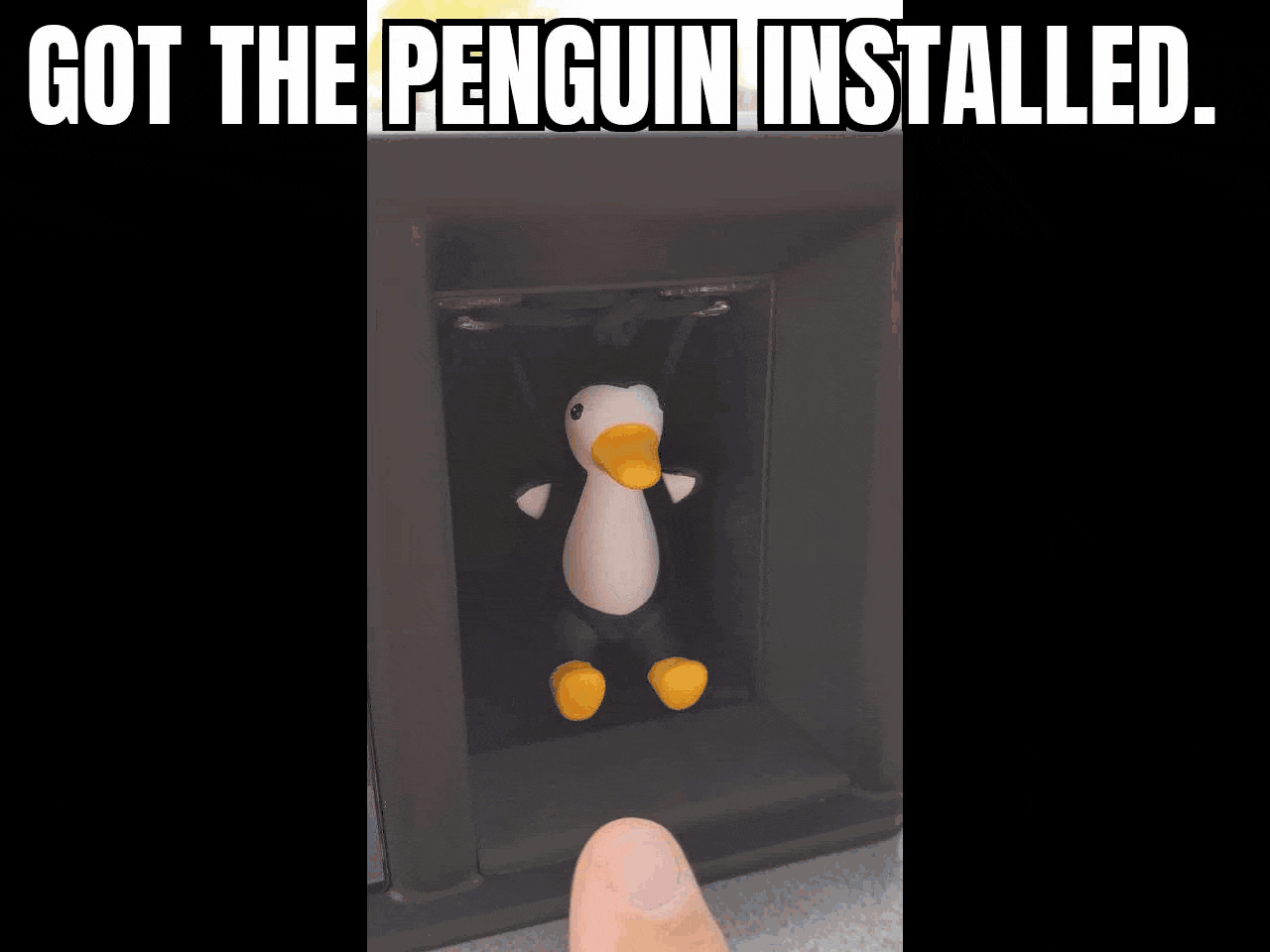 GifMeme17200404042022.gif
