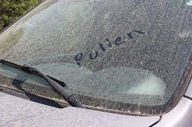 Ford Maverick Wiper Fluid? pollen