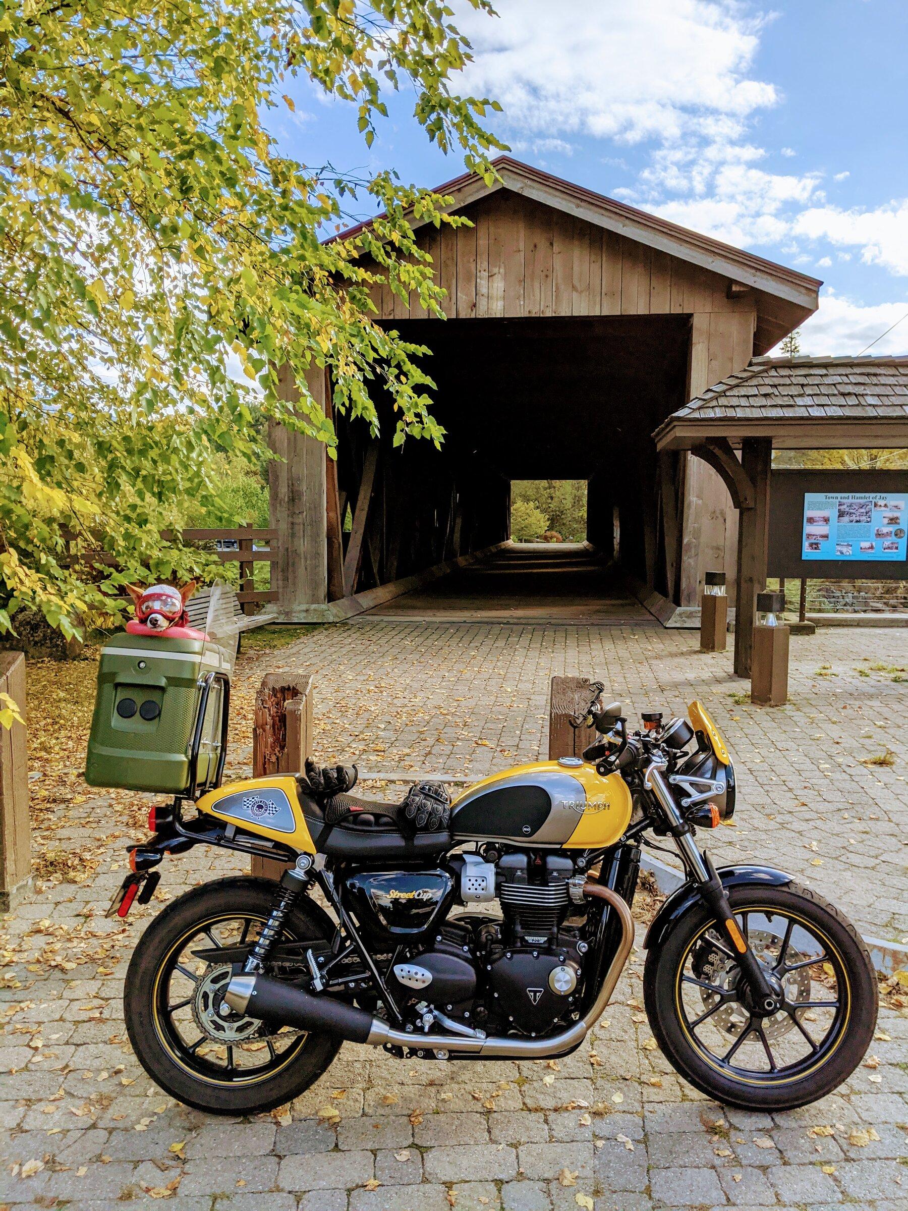 Ford Maverick Motorcycle riders, let’s see your ride. PXL_20211007_195353618 (1)