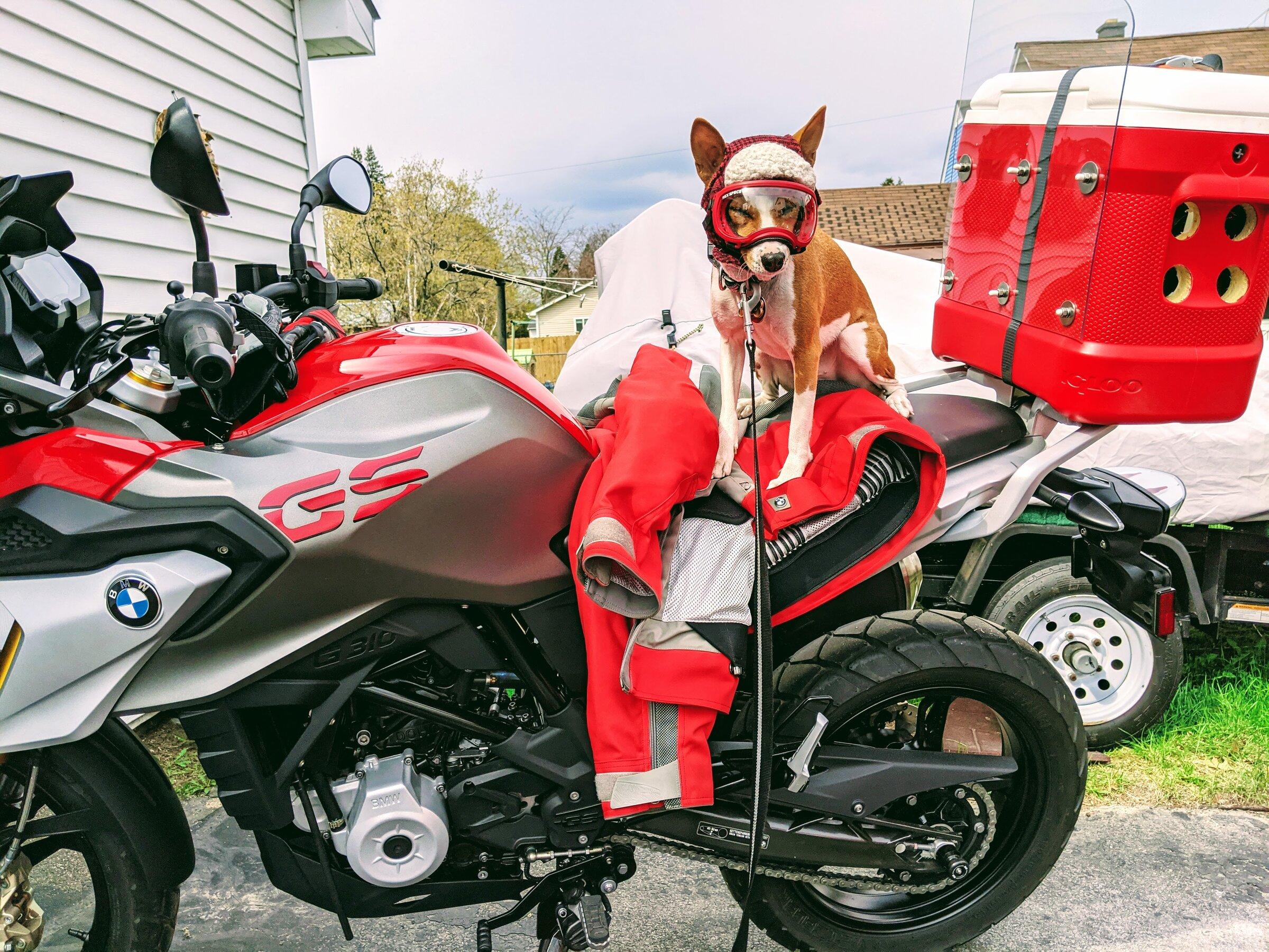 Ford Maverick Motorcycle riders, let’s see your ride. PXL_20210425_144332124.MP (1)
