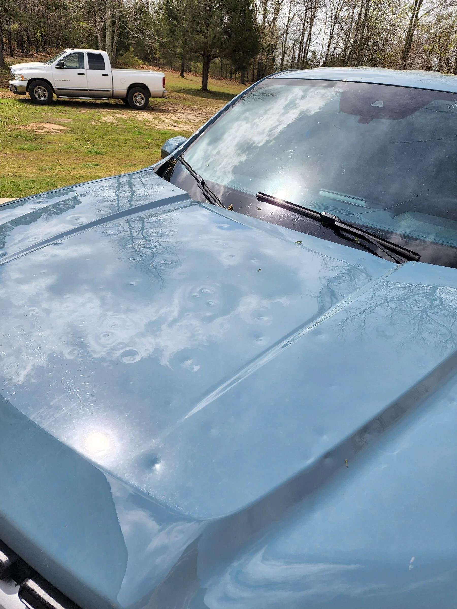 20220412_115618.jpg