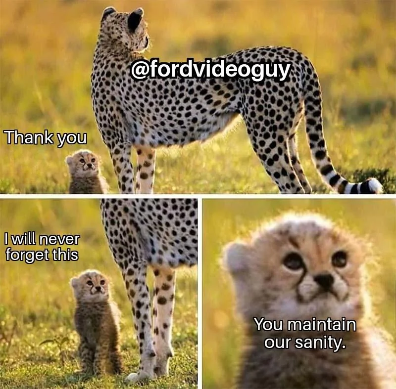 Ford Maverick Maverick Memes -  fun diversion while we wait [ ** NO POLITICS ** ] Cheetah And Cub 15042022070718