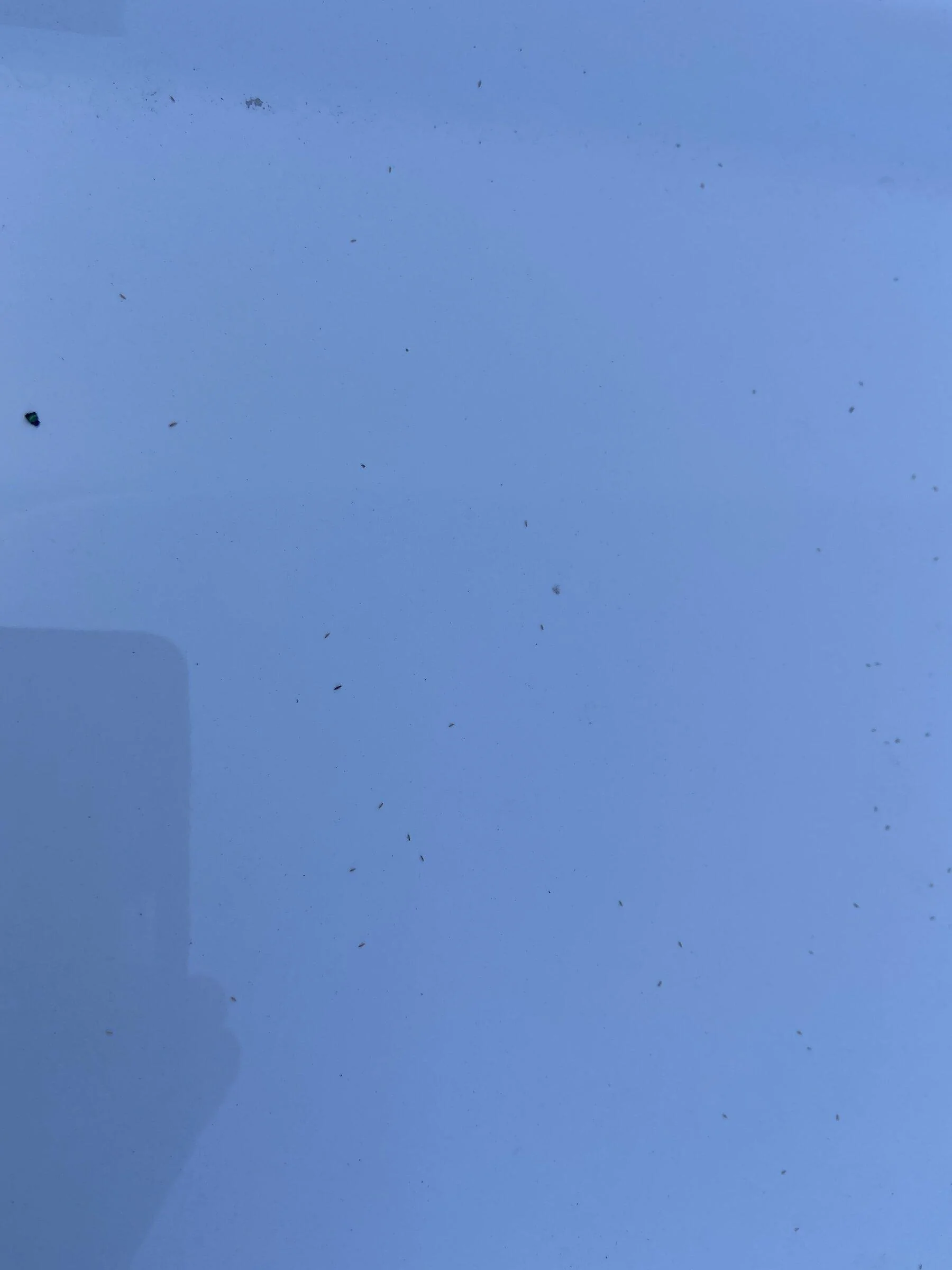 B6B05953-2214-48BB-8E4F-8DA11FFB626D.jpeg