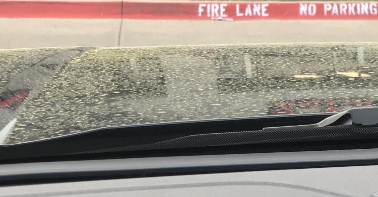 Ford Maverick ALTO BLUE Maverick Photos Thread 2B61A85B-D4D0-4791-A629-E141D1FD74D9