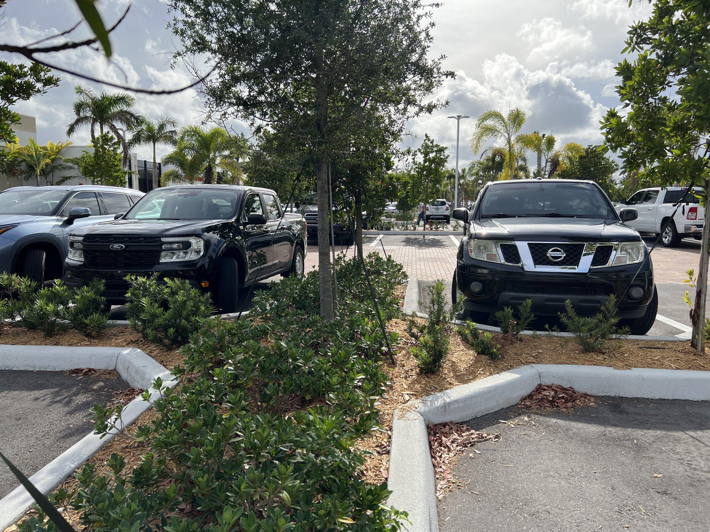Ford Maverick Which would you want? DEFD633E-1303-4E0D-8BCE-8B111A091A2E