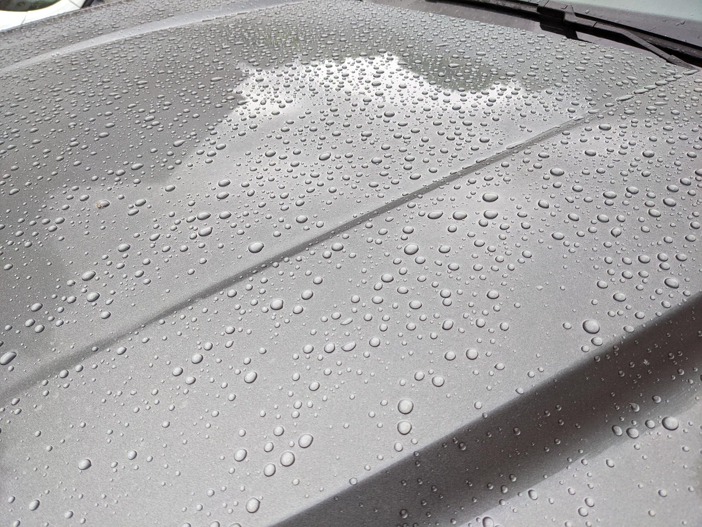 Ford Maverick Washing, waxing, upkeep. PXL_20220502_111408808.MP