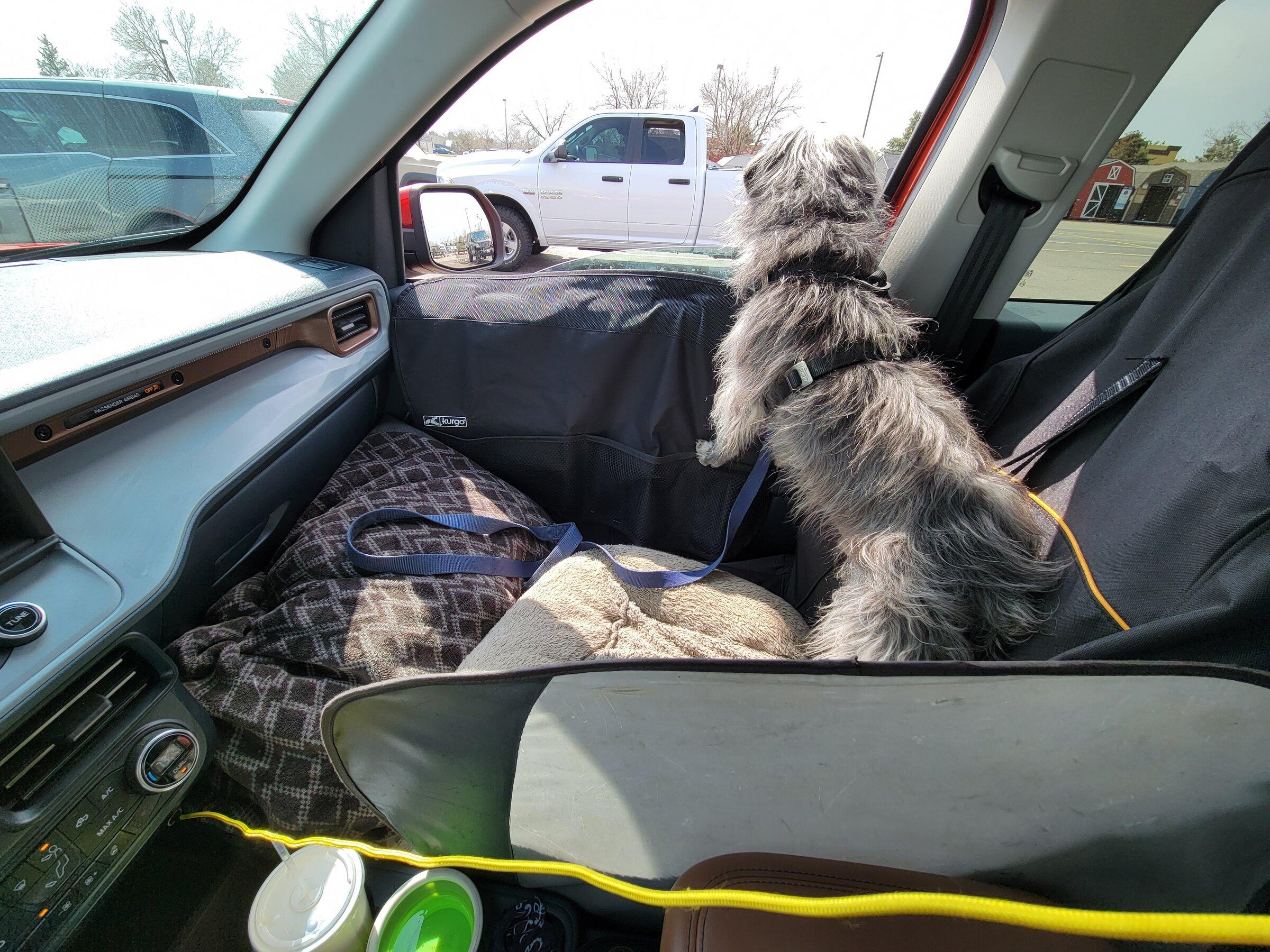 Ford Maverick Doggo Lux Package installed 20220503_151329