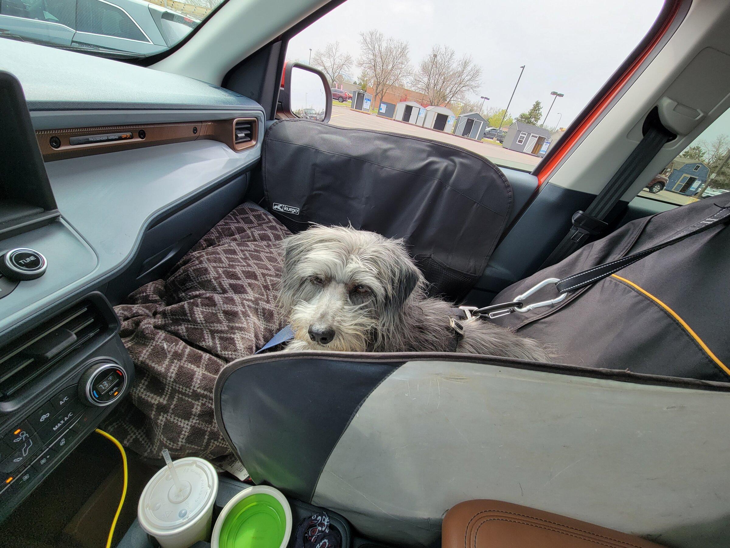 Ford Maverick Doggo Lux Package installed 20220503_145643