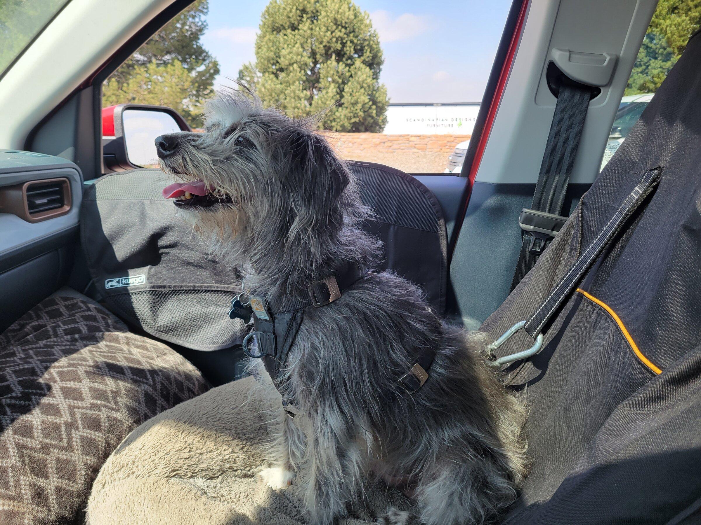 Ford Maverick Doggo Lux Package installed 20220503_103452