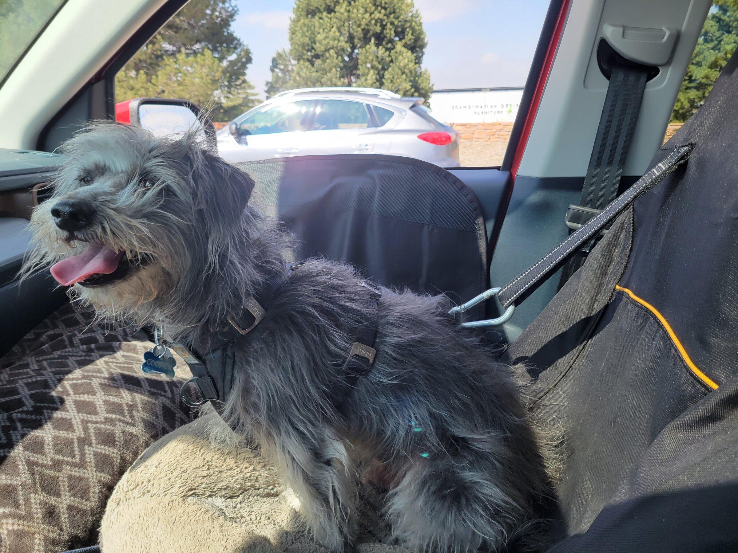 Ford Maverick Doggo Lux Package installed 20220503_103450