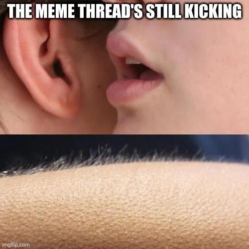 Ford Maverick Maverick Memes -  fun diversion while we wait [ ** NO POLITICS ** ] 6ftj5