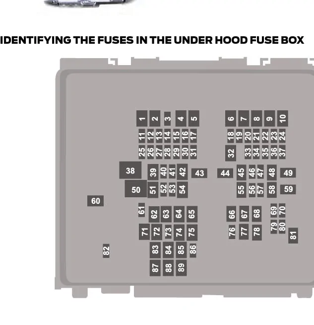 Ford Maverick What fuse is the bed light on? C83124B1-0DFB-43AA-8ADF-780F8C786BC6