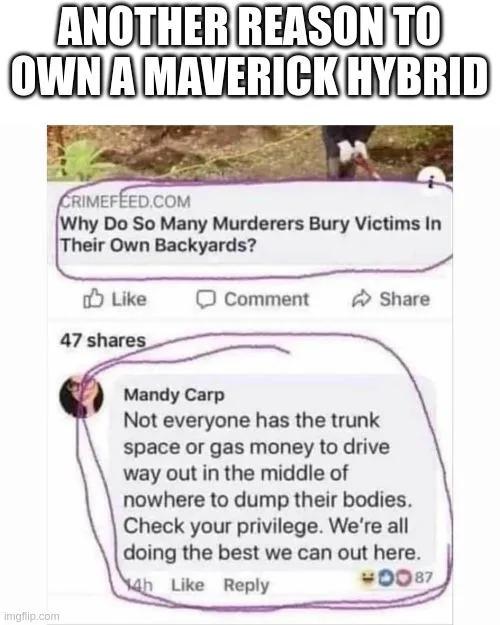 Ford Maverick Maverick Memes -  fun diversion while we wait [ ** NO POLITICS ** ] 6h1tcm