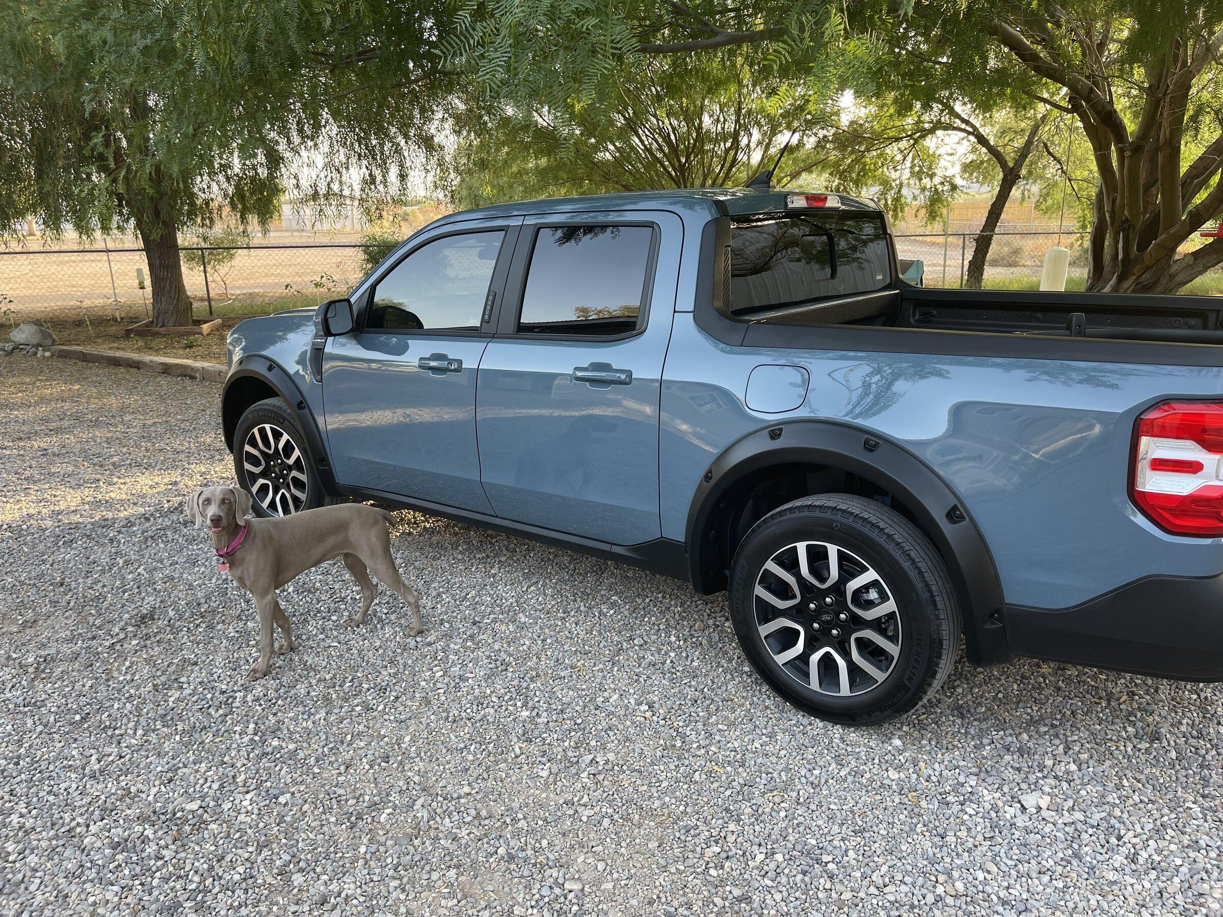 Ford Maverick Received my Maverick today IMG_6191.JPG