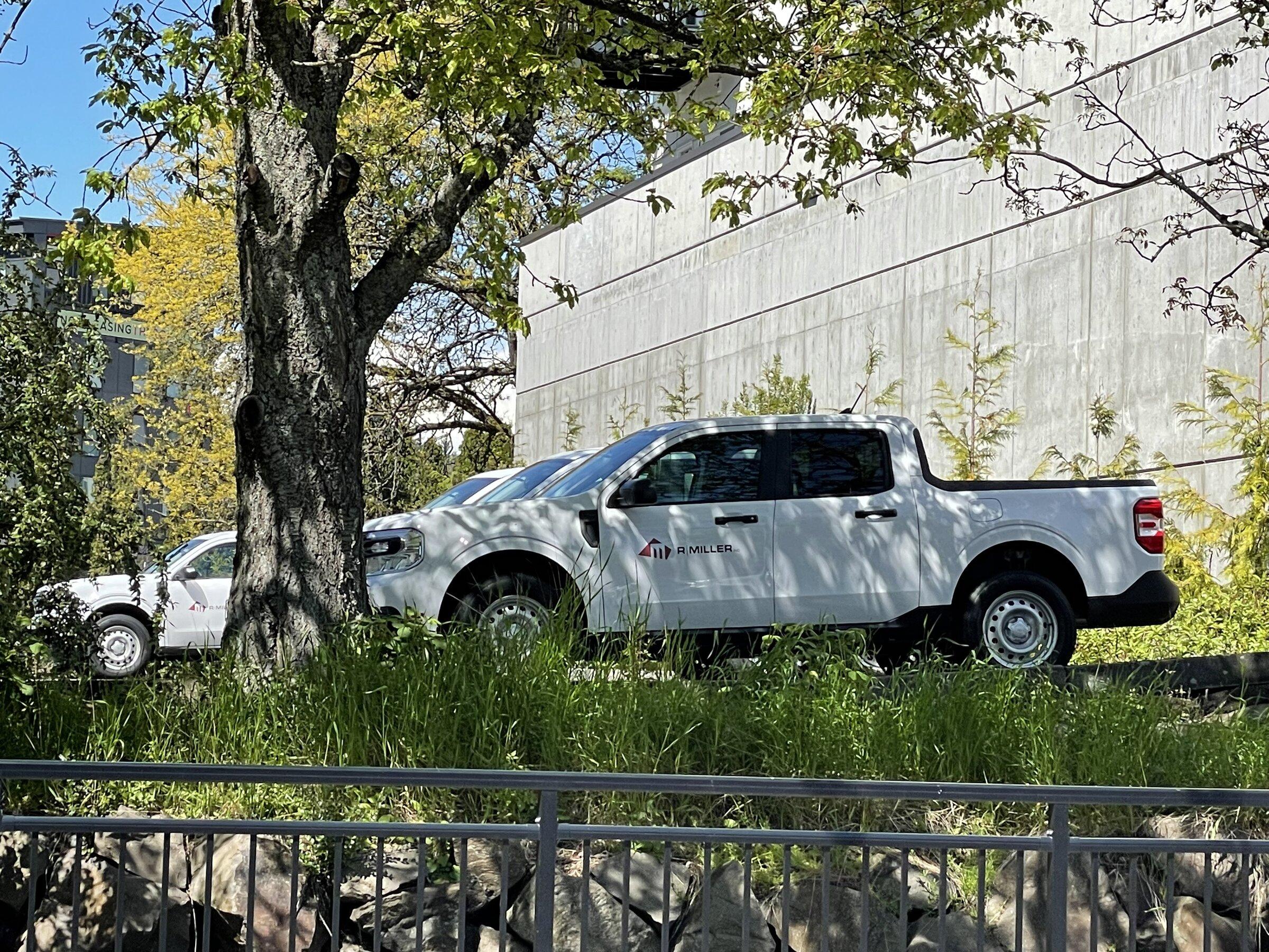 Ford Maverick How many Mavericks have you seen? C3512999-235B-460E-ABFA-AC69AFD7FB25
