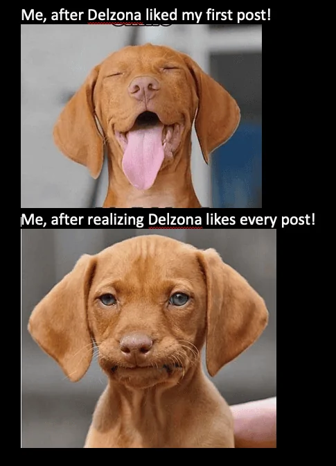 1653275289058.png