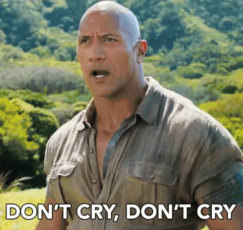 Ford Maverick Maverick Memes -  fun diversion while we wait [ ** NO POLITICS ** ] dwayne-johnson-dont-cry