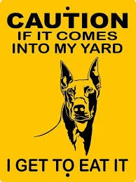 Ford Maverick Help with keeping neighbor cats away 1653568505382