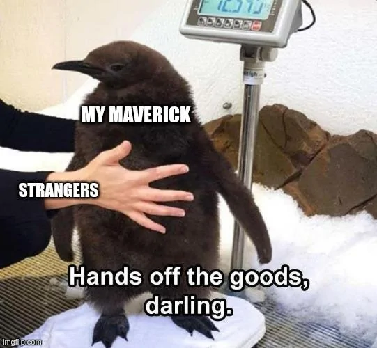 Ford Maverick Maverick Memes -  fun diversion while we wait [ ** NO POLITICS ** ] 6imhh8