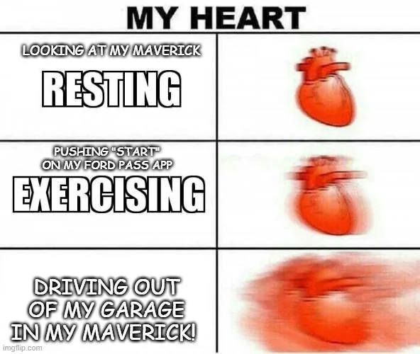 Ford Maverick Maverick Memes -  fun diversion while we wait [ ** NO POLITICS ** ] Meme 309
