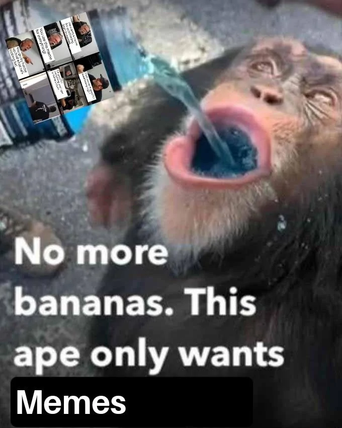 Ford Maverick Maverick Memes -  fun diversion while we wait [ ** NO POLITICS ** ] No More Bananas This Ape Only Wants X 15062022195648