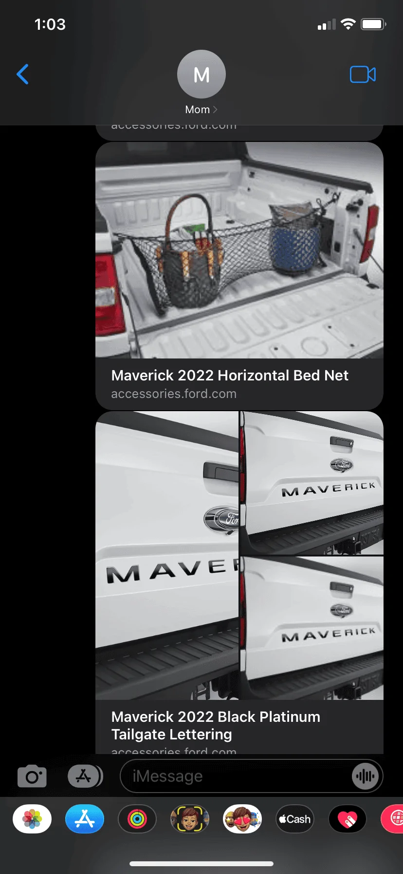 Ford Maverick Horizontal bed net installed. So confused. 9026FD40-3CC8-4933-83CD-42DB1C6D5D43