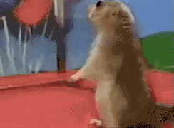 Ford Maverick Song game thread chipmunk-dramatic