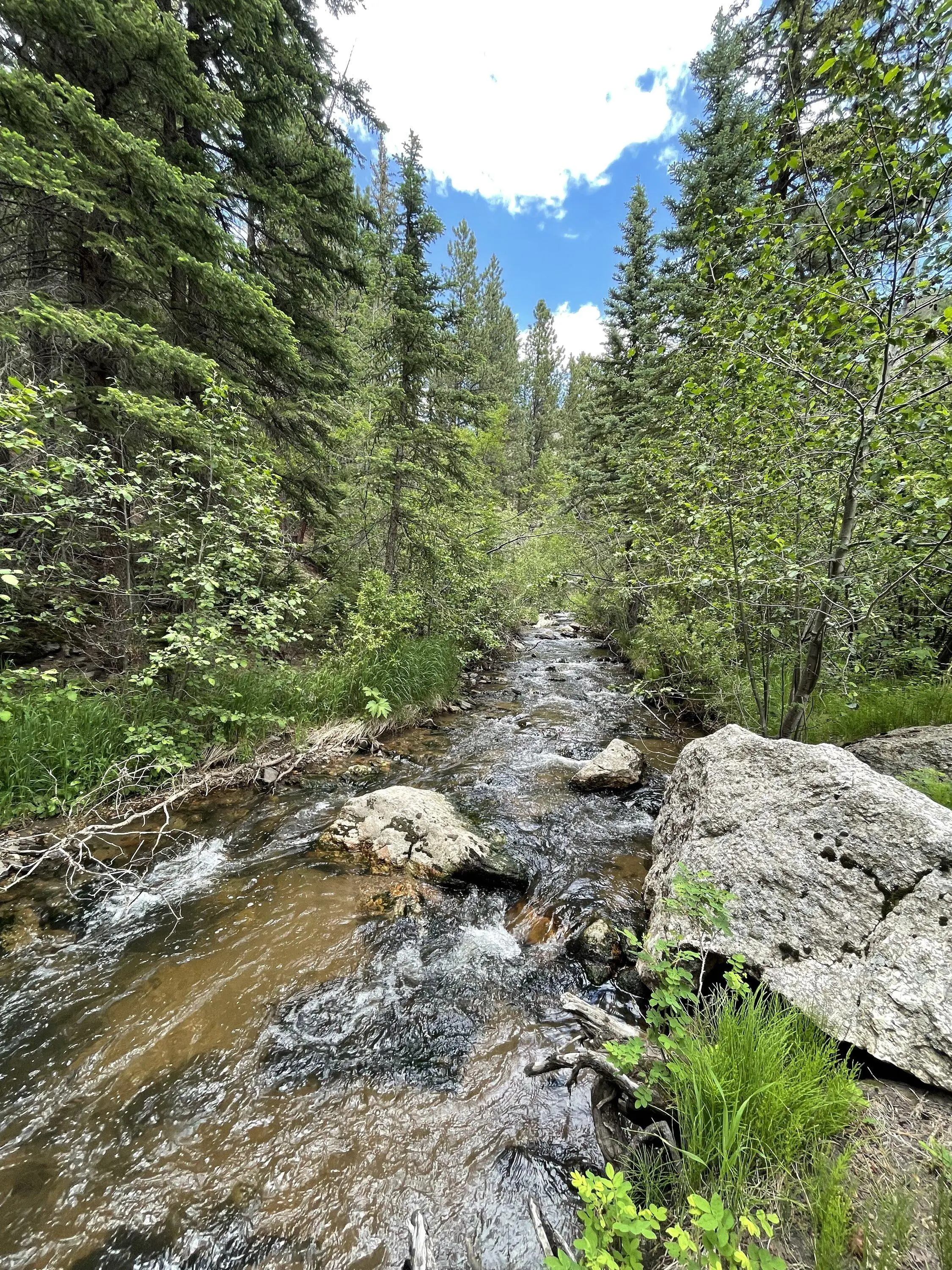 Ford Maverick Hybrid Off-Road Trip Report From Colorado D00EC1F1-B3CE-4E12-BF5B-3E01F44524B8