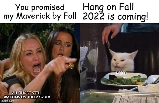 Ford Maverick Maverick Memes -  fun diversion while we wait [ ** NO POLITICS ** ] Meme 321